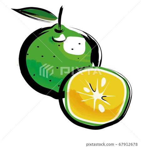 Analog touch brush-painted watercolor painting illustration of kabosu Fruits Fruits 67912678