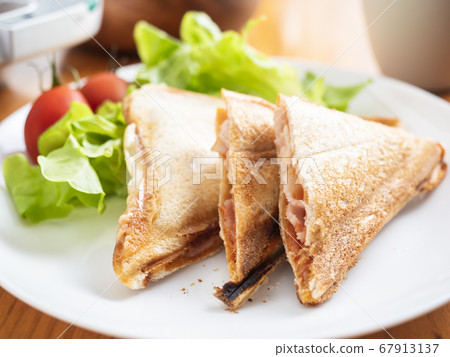 Hot sandwich 67913137