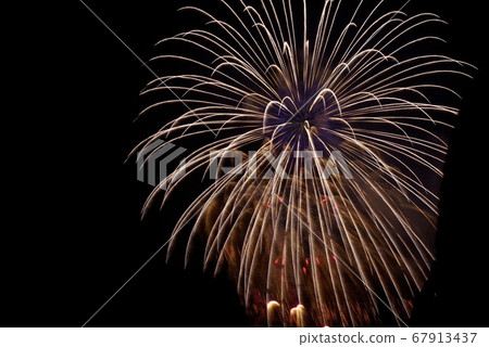 Large fireworks blooming in the night sky Large fireworks blooming in the night sky 67913437