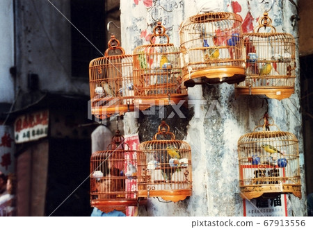 Hong Lok Street or so called Bird Street in hong kong around 1990 Hong Lok Street or so called Bird Street in hong kong around 1990 67913556