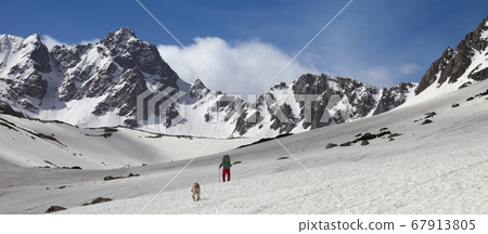 Dog and trekker on snowy plateau in high mountains 67913805