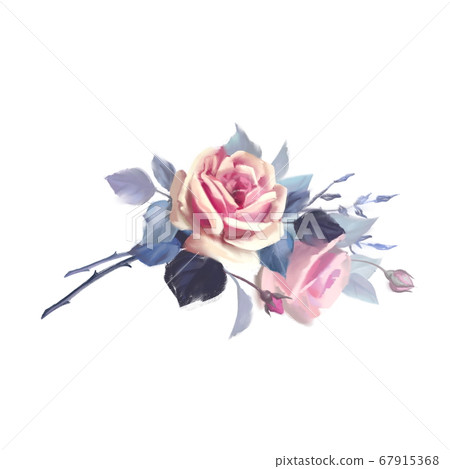 Hand drawn flowers. Pink roses Hand drawn flowers. Pink roses 67915368