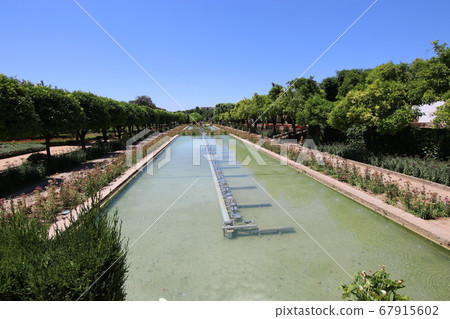 Alcazar, Cordoba, Spain, garden Alcazar, Cordoba, Spain, garden 67915602
