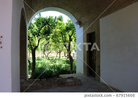 Alcazar, cordoba, spain, gardens, orange trees Alcazar, cordoba, spain, gardens, orange trees 67915608