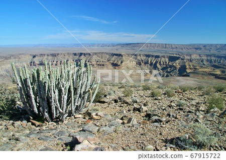 魚河峽谷在納米比亞 67915722