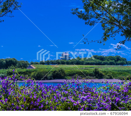 Sekijuku Castle-early summer 67916094