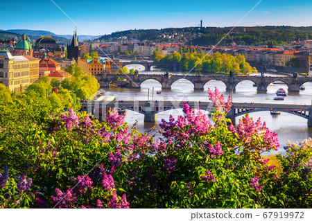 Wonderful spring panorama of Prague with river and bridges 67919972