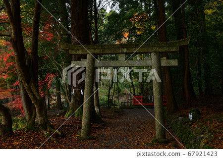 From Izumo Grand Shrine 67921423