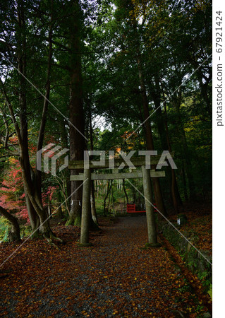 From Izumo Grand Shrine 67921424