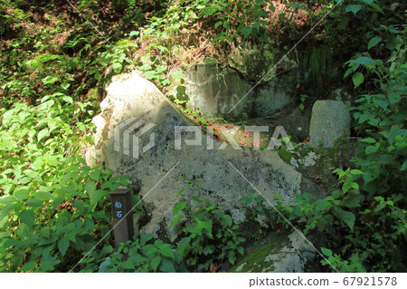 科蘇格村 科蘇格村 67921578