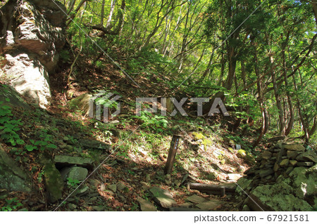 科蘇格村 科蘇格村 67921581