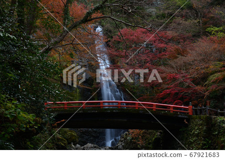 Autumn leaves of Mino Falls 67921683