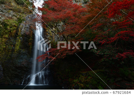 Autumn leaves of Mino Falls 67921684