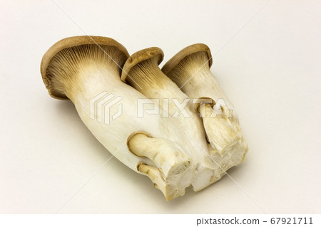 Eringi，蘑菇，配料 67921711