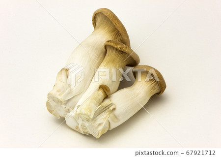 Eringi, mushrooms, ingredients Eringi, mushrooms, ingredients 67921712