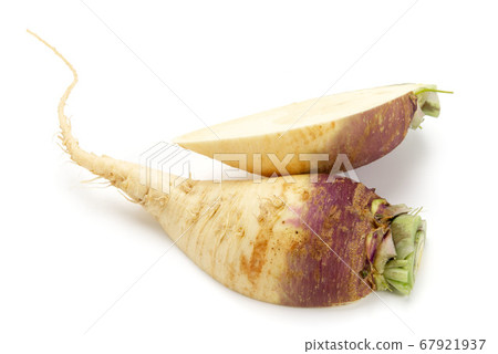 Rutabaga Rutabaga 67921937