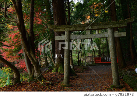 From Izumo Grand Shrine From Izumo Grand Shrine 67921978