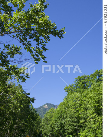Mountains visible beyond the green forest road 67922031