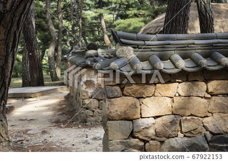 Pine tree and Hanok fence Pine tree and Hanok fence 67922153