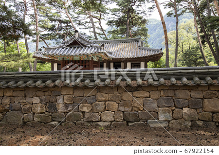 Yeongwol Cheongnyeongpo Danjong Fish Market surrounded by pine trees 67922154