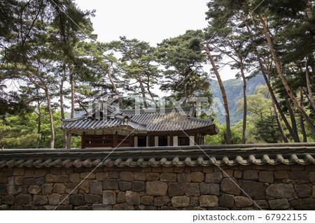 Yeongwol Cheongnyeongpo Danjong Fish Market surrounded by pine trees 67922155