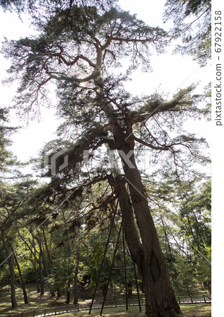The 600-year-old Guanyin Song of Cheongnyeongpo The 600-year-old Guanyin Song of Cheongnyeongpo 67922158