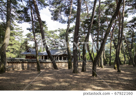 Danjong Fish Market in Cheongnyeongpo, covered with pine trees Danjong Fish Market in Cheongnyeongpo, covered with pine trees 67922160