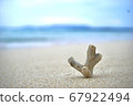 Seaside coral reef 67922494