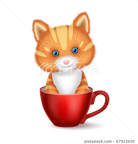 Cartoon cat sitting in the cup 67923650