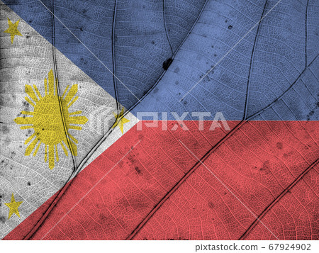Philippines flag leaf texture 67924902