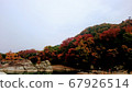 Beautiful autumn leaves of Nagatoro 67926514