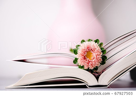 Pink autumn aster flower on an open books. Pastel photo, copy space 67927503