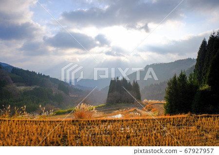 Satoyama Morning (Uda City, Nara Prefecture) 67927957