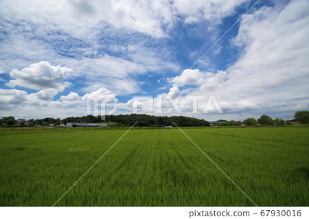 京畿道始興市厚木 67930016