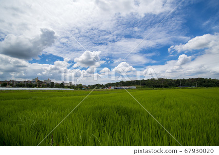 京畿道始興市厚木 京畿道始興市厚木 67930020