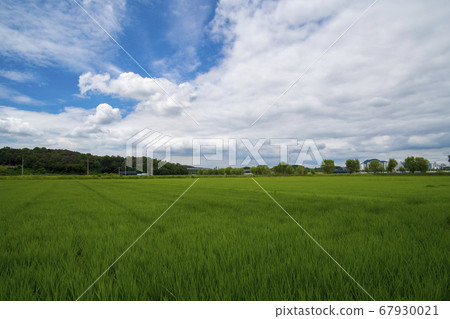 京畿道始興市厚木 京畿道始興市厚木 67930021