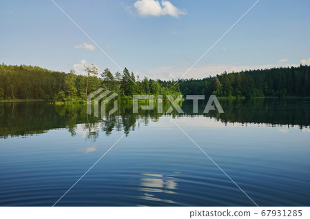Clean lake on forest Clean lake on forest 67931285