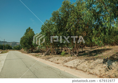 Countryside asphalt road next to small properties 67931977