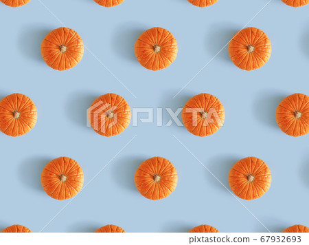 Pumpkin pattern, decorative pumpkins on a blue background top view. Autumn, fall, halloween concept. Trend shadow. Pumpkin pattern, decorative pumpkins on a blue background top view. Autumn, fall, halloween concept. Trend shadow. 67932693