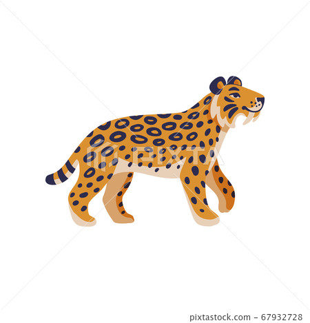 Extinct animals. Saber-tooth cat. Prehistoric Extinct animals. Saber-tooth cat. Prehistoric 67932728