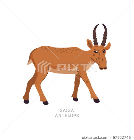 Rare animals collection. Saiga antelope. Saiga 67932746