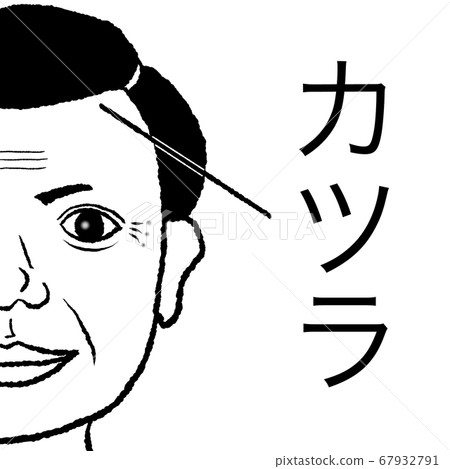 假髮男人 67932791