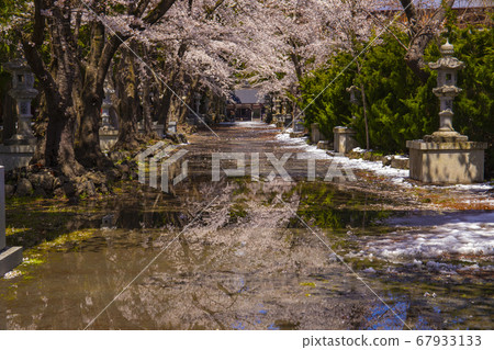 [山梨縣] ton之宮，重要文化財產富士大室淺間神社 67933133