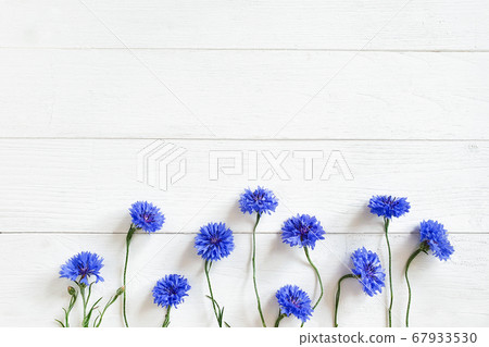 Top view of blue cornflowers on a shabby white wooden background. Flower line, flatlay Top view of blue cornflowers on a shabby white wooden background. Flower line, flatlay 67933530