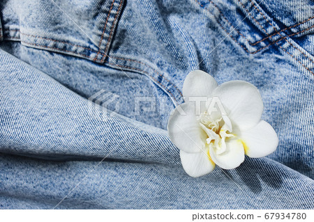 White freesia flower is on a denim background. Product background. Pocket blue denim jacket. View from above White freesia flower is on a denim background. Product background. Pocket blue denim jacket. View from above 67934780