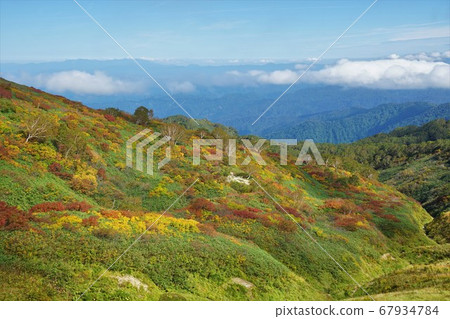 山的秋葉山表面。 山的秋葉山表面。 67934784