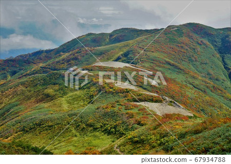 Mt. Seed Mt. Mt. Seed Mt. 67934788