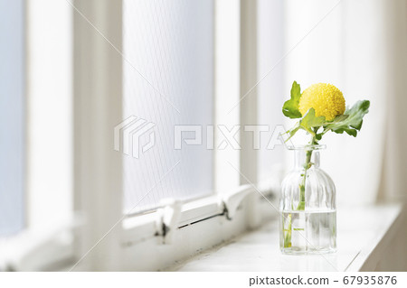 一個花瓶放在窗台上的黃色乒乓球媽媽 一個花瓶放在窗台上的黃色乒乓球媽媽 67935876