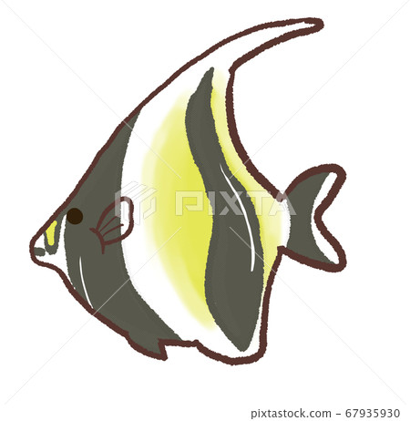 R: A more fairy tale aquarium Tsunodashi 1 67935930