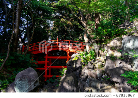 小石川後樂園的秋葉 小石川後樂園的秋葉 67935967